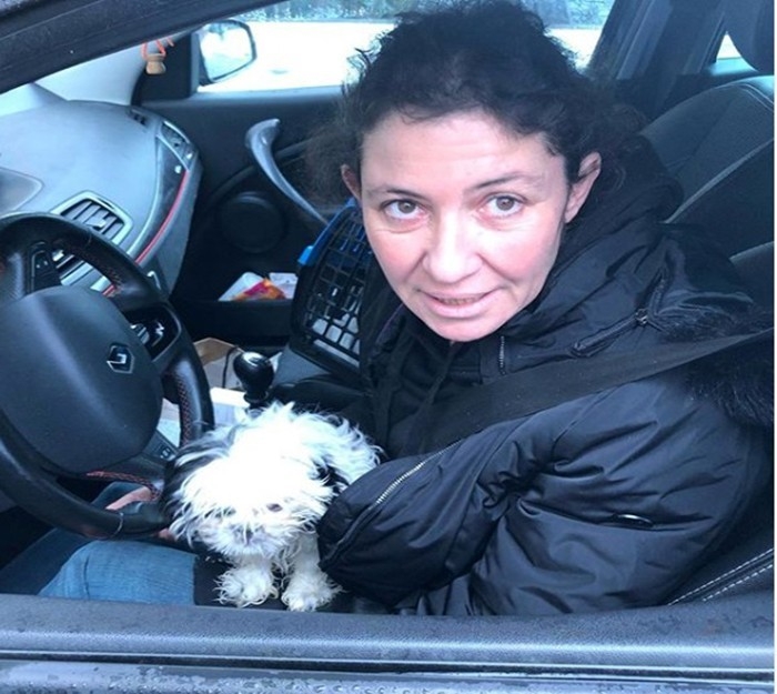 Kliniğe Emanet Ettiği Köpeği Kaçtı, 20 Bin Tl’lik Tazminat Davası Açtı