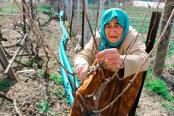 74 Yaşındaki Ayşe Teyzenin Azmi Gençlere Taş Çıkartıyor