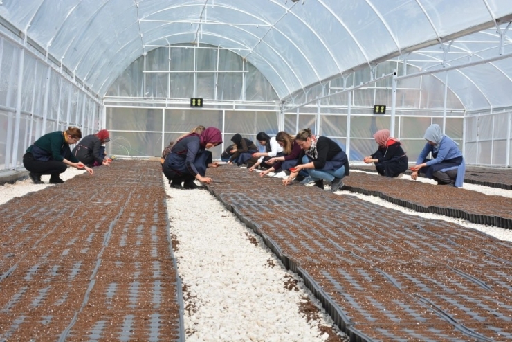 Kızıltepeli Kadınlar Dünya Kadınlar Günü’nde Kooperatif Kurdu