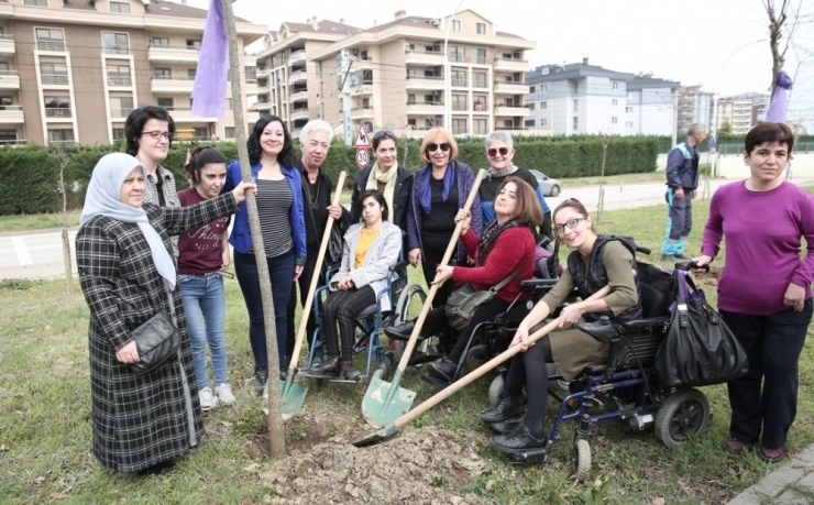 Kadınlardan “Mor Fidanlık”