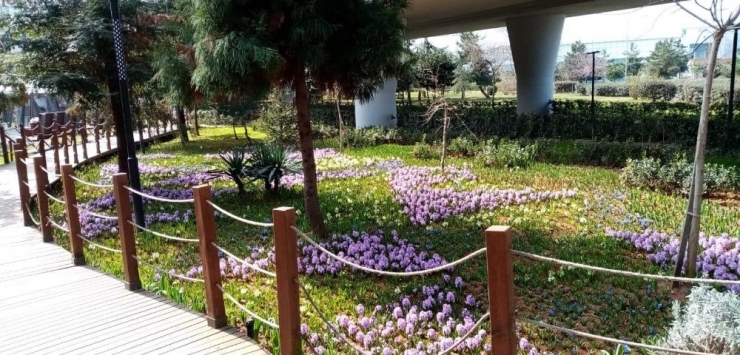 Ortahisar’da Bahar Cümbüşü Başladı