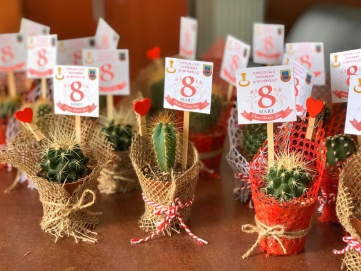 Kadınlara Gül Yerine Kaktüs Hediye Etti