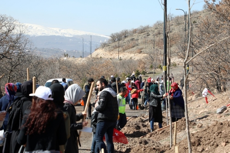 Talas’tda İdlib Şehitleri İçin Fidan Dikimi