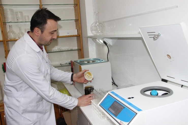 Piyasadaki Sahte Ballar İçin Arıcılar Harekete Geçti