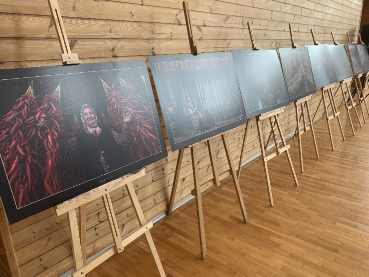 Zeytinburnu’nda 8 Mart Dünya Kadınlar Günü Kutlandı