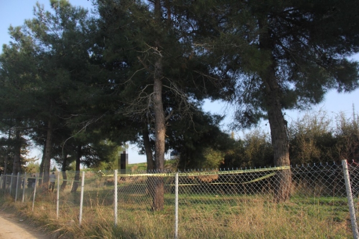 Ormanlık Alanda Asılı Bulunan Gencin Ailesi Perişan Oldu