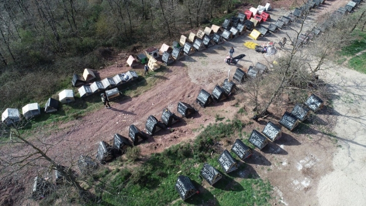 Adapazarı’nda 135 Kulübe Sahipsiz Hayvanlara Hediye Edildi