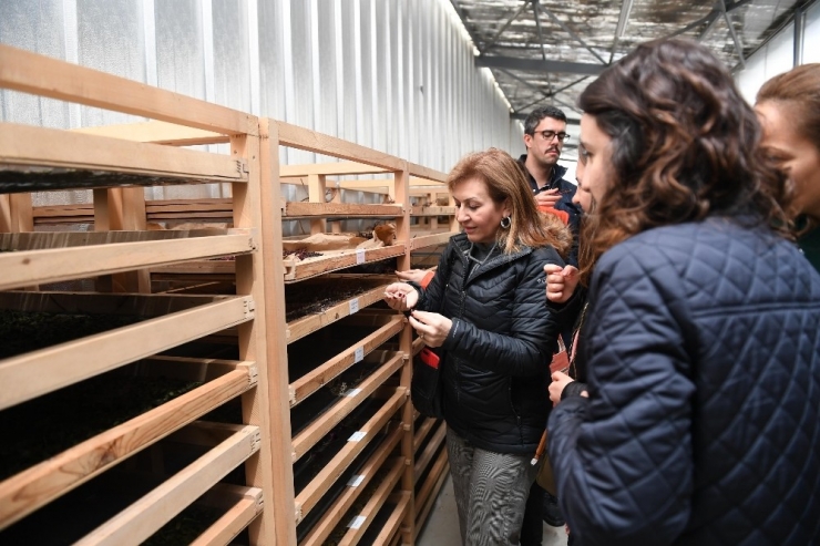 Balıkesir, Seçkin Destinasyon Olmaya Aday