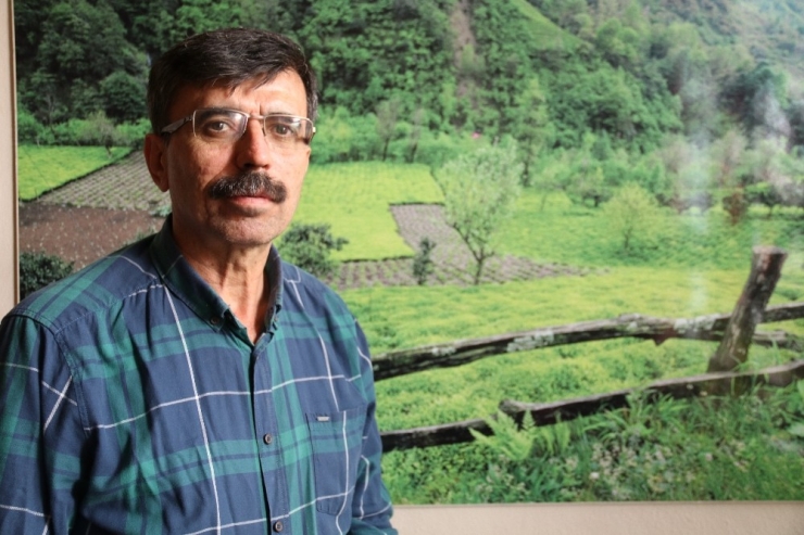 Rizeliler 2020 Çay Sezonuna Hazırlanıyor