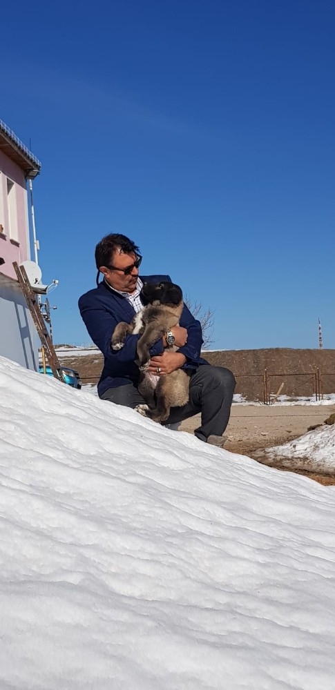 İnterpol Daire Başkanı Hafta Sonunda Kangallarla Vakit Geçirdi