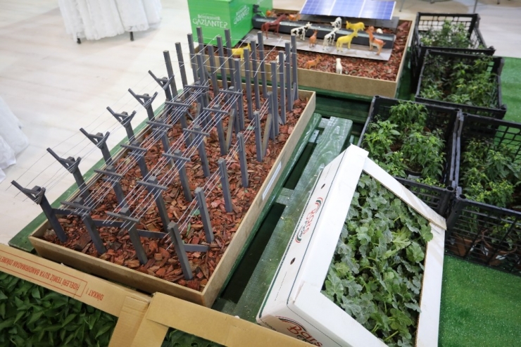 Büyükşehir Gap Tarım Fuarı’na Damga Vurdu