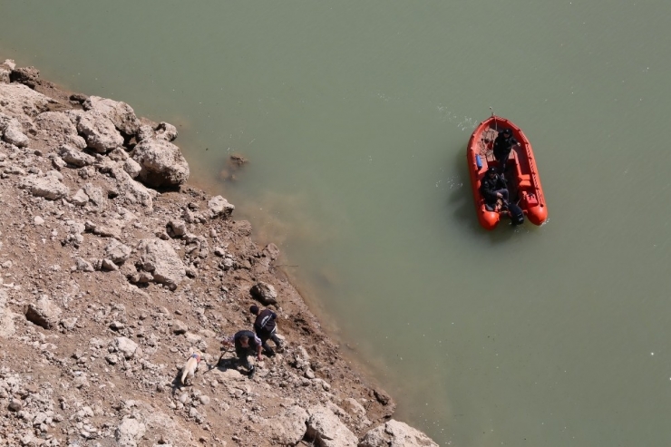 Kayıp Gülistan İçin İçişleri Bakanlığı Tarafından Özel Ekip Görevlendirildi