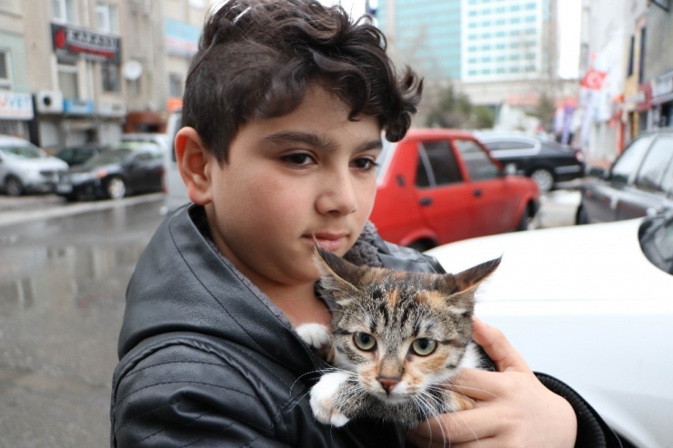 Sokakta Bulduğu Kediye Üzüldü, Montuna Sarıp Veterinere Götürdü