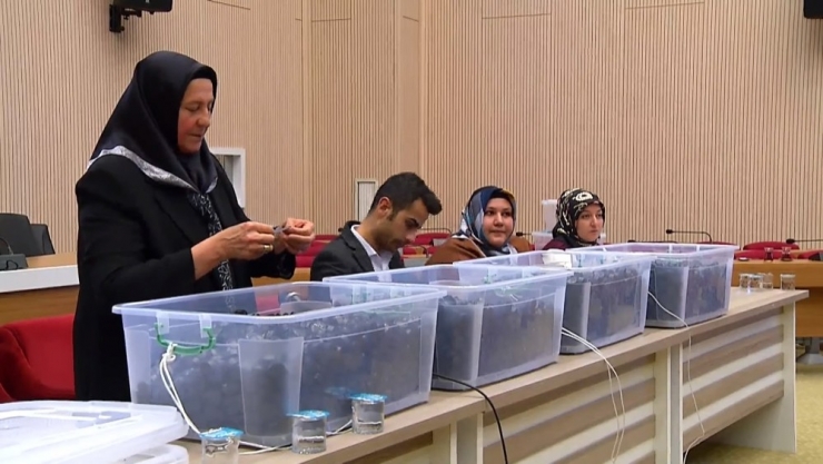 Kayacık Huzur Bahçelerinde Kura Heyecanı Yaşandı