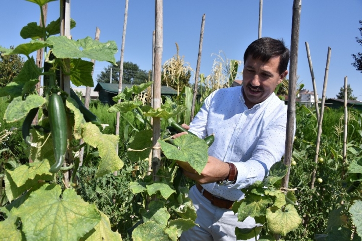 Karaaslan Hobi Bahçeleri’nin Yeni Sahipleri Belli Oluyor