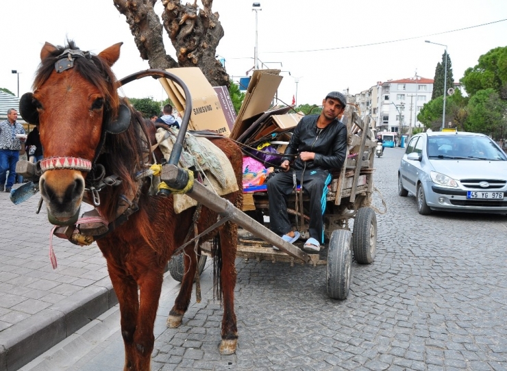 Doğduğundan Beridir At Arabasıyla Kağıt Topluyor