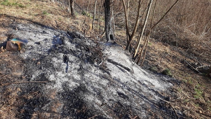 Perşembe’de Örtü Yangınları