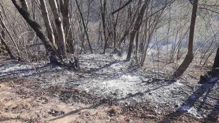 Perşembe’de Örtü Yangınları