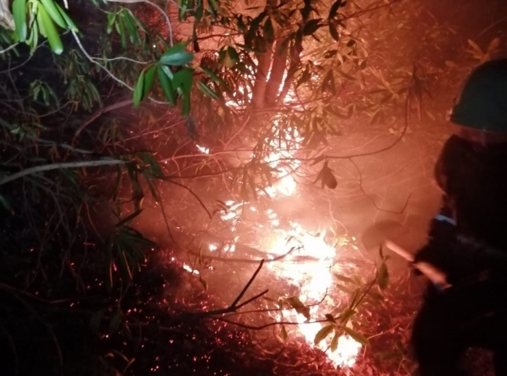 Dikkatsizlik Ormanlık Alanı Tutuşturdu