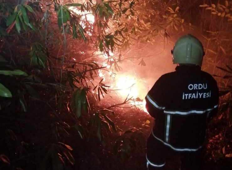 Dikkatsizlik Ormanlık Alanı Tutuşturdu