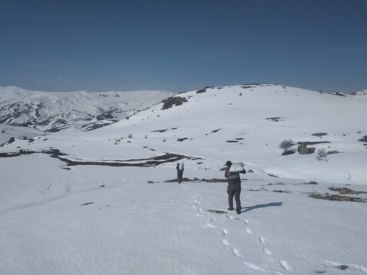 Yaban Hayvanları Unutulmadı