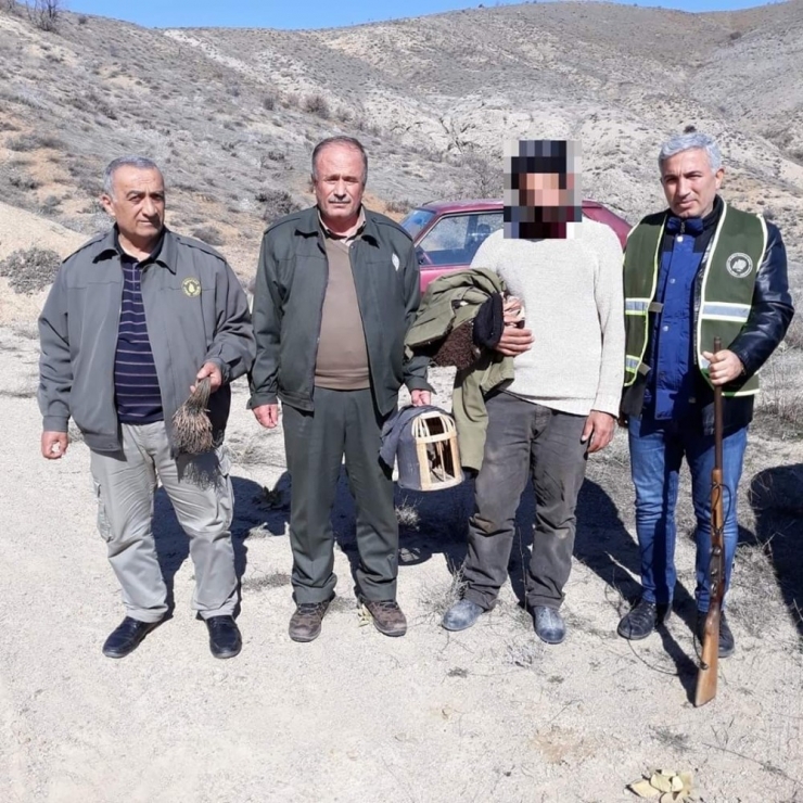 Tuzak İle Kaçak Keklik Avlayan Şahıs Yakalandı