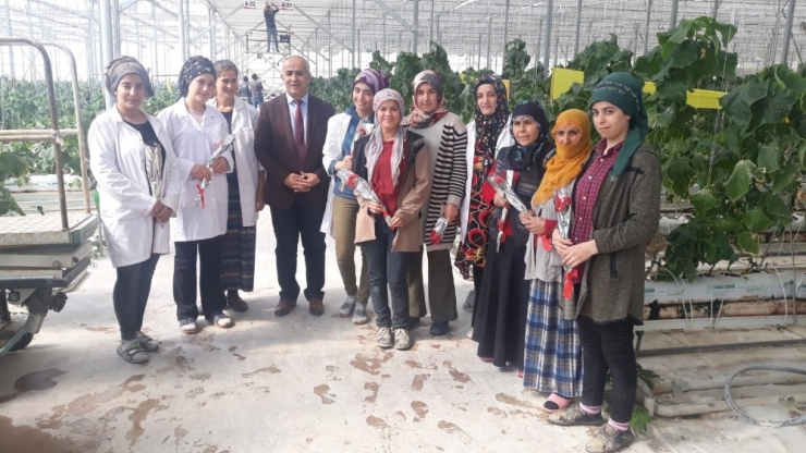 Başkan Ensari’den Kadınlara Gül