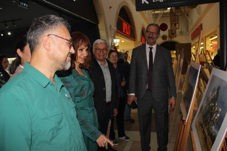 Hekimler Bu Defa Objektif İle Gerçekleştirdikleri Maharetleri Sergilediler