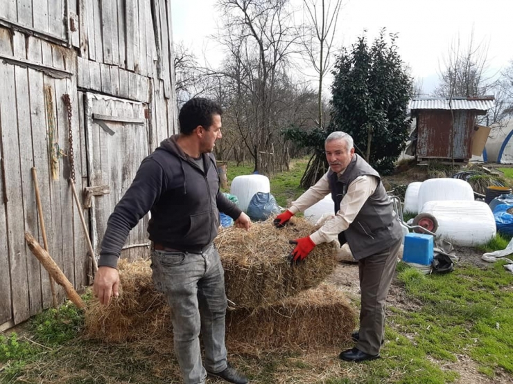 Avcıdan Örnek Davranış