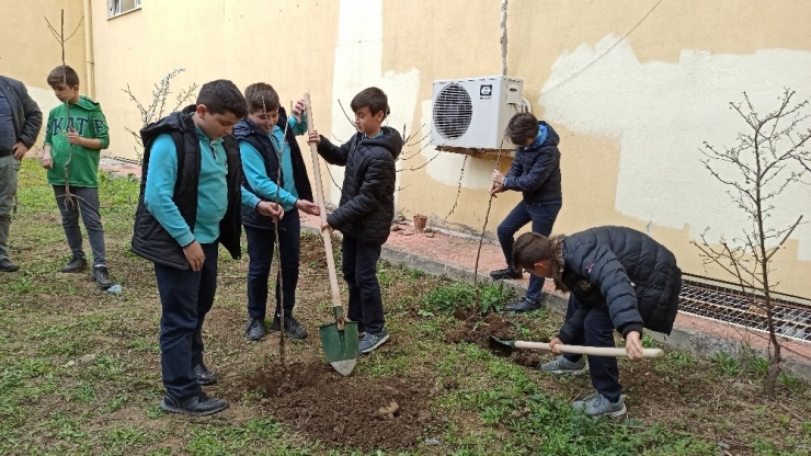 Ortaokul Öğrencilerinden Anlamlı Etkinlik