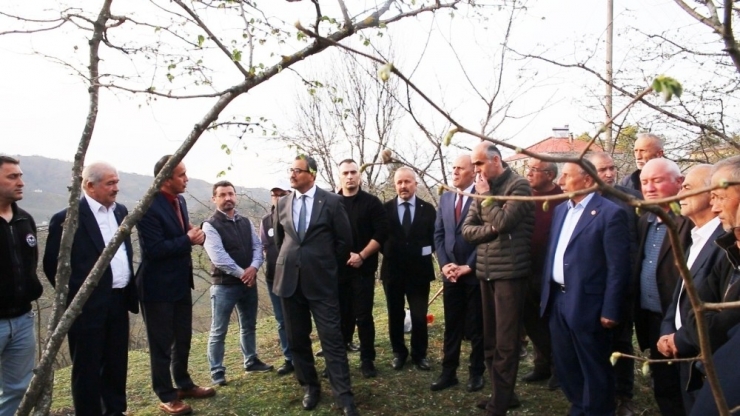 Giresun’da “Örnek Bahçe” Projesi Eğitimi Verildi