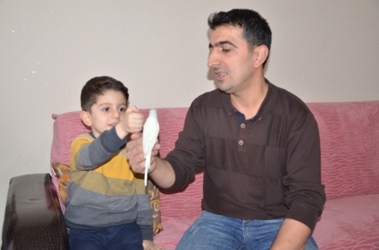 Fanatik Beşiktaşlı Muhabbet Kuşu Evin Maskotu Oldu