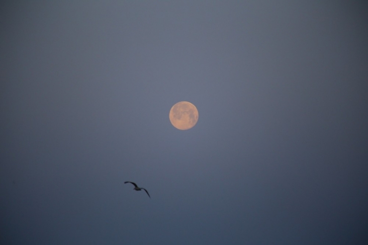 Süper Ay’ın Kartpostallık Doğuşu Ve Batışı