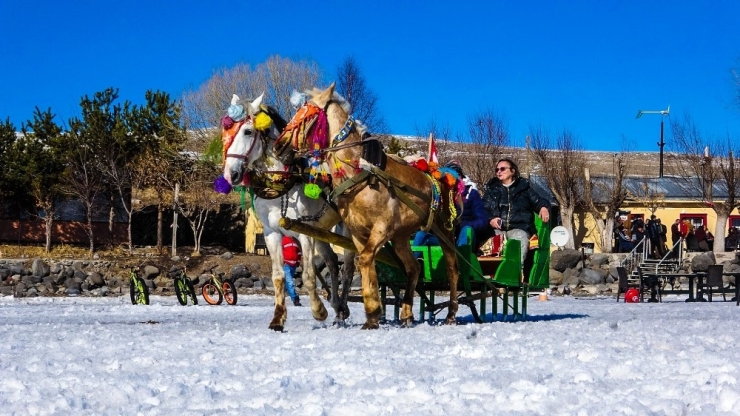 Mart Ayında Atlı Kızak Keyfi