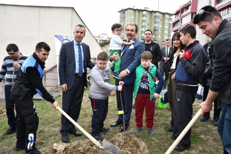 Yeşil Bitki Örtüsüne Destek Amacıyla Fidan Dikimi Yapıldı