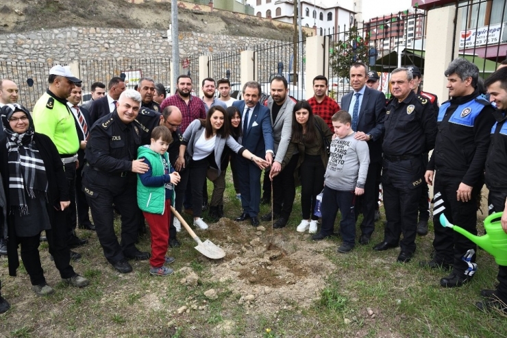 Yeşil Bitki Örtüsüne Destek Amacıyla Fidan Dikimi Yapıldı