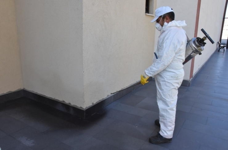 Kocasinan Belediyesi’nden Haşerelere Karşı Etkin Mücadele