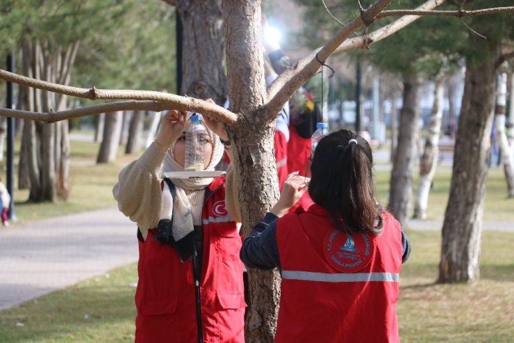 Her Birine Şehitlerimizin İsmini Verip, Tek Tek Ağaç Dallarına Astılar