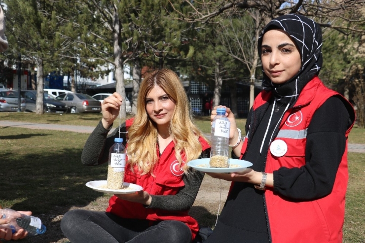 Her Birine Şehitlerimizin İsmini Verip, Tek Tek Ağaç Dallarına Astılar