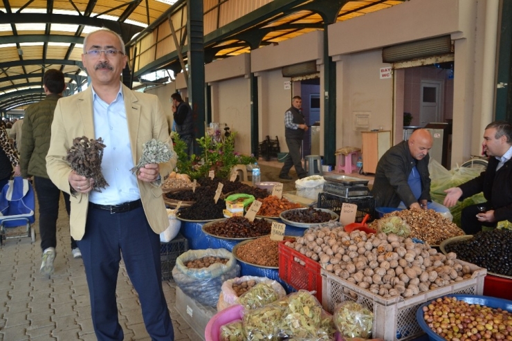 Korana Virüsü Salgınına Karşı Virüs Savar Bitkiler