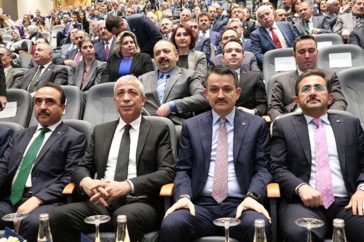 Bakan Pakdemirli: “Avrupa Mültecilere Karşı Almış Olduğu Ciddi Önlemleri Virüse Karşı Almış Olsaydı, Belki Bu Tür Elim Bir Hadiseyle Sarsılmış Olmayacaktı”