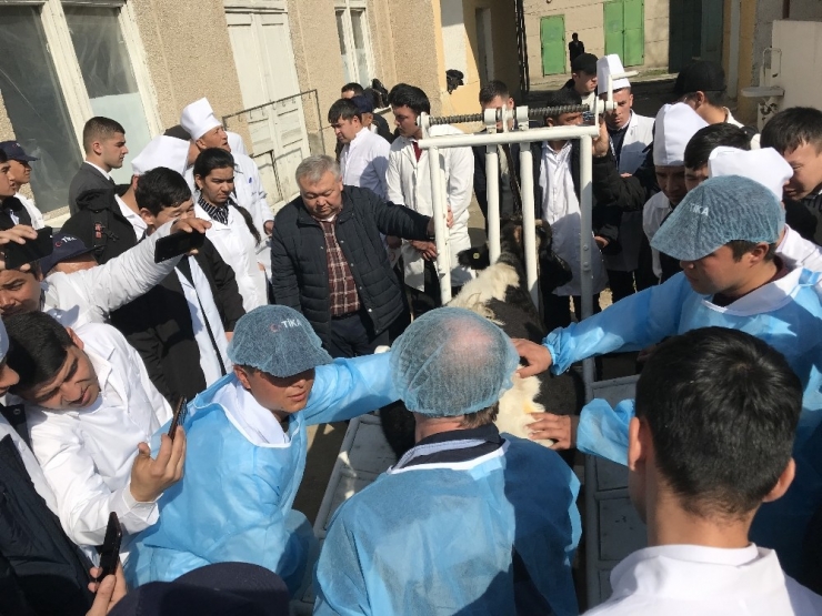 Türkiye Hayvancılık Alanındaki Tecrübesini Özbekistan’la Paylaşıyor