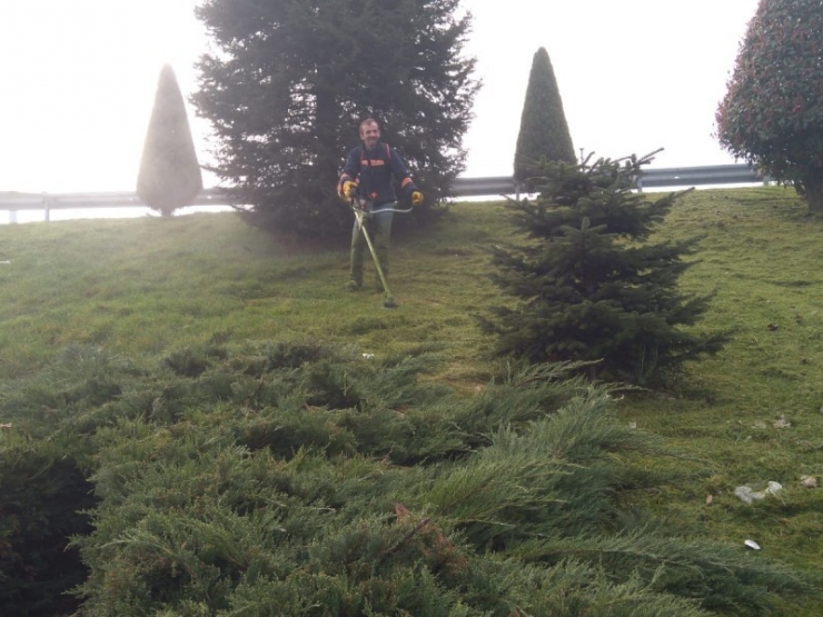 Kervan Kavşağı’nda Peyzaj Bakımları Yapıldı