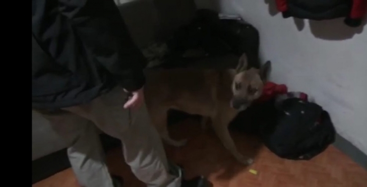 Eskişehir’de Uyuşturucu Operasyonu, 8 Gözaltı