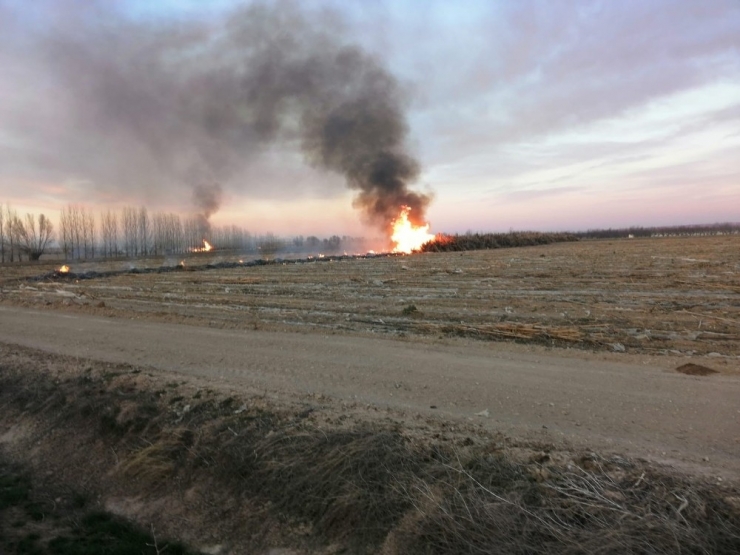 Ereğli’de Tarlada Çıkan Yangın Korkuttu