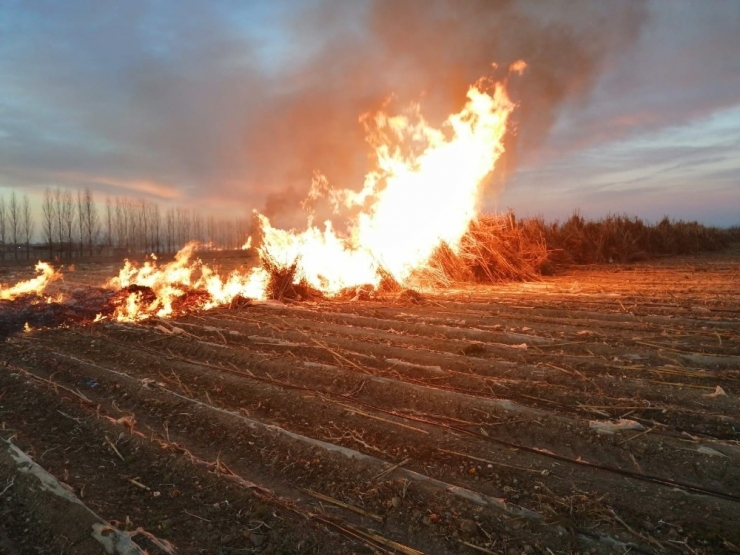 Ereğli’de Tarlada Çıkan Yangın Korkuttu