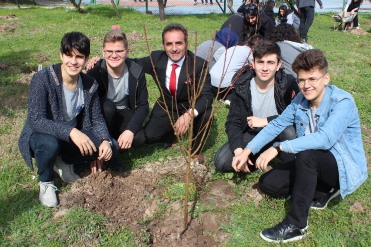 Lisenin Bahçesi Meyve Bahçesi Oldu