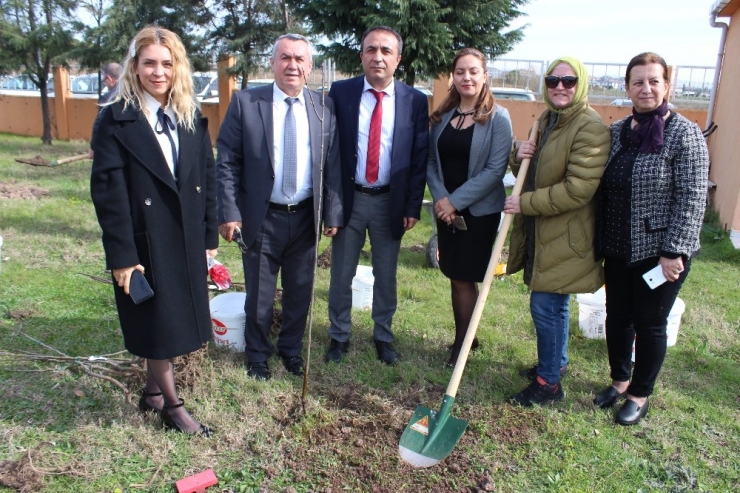 Lisenin Bahçesi Meyve Bahçesi Oldu