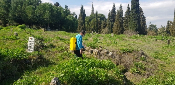 Mezarlıklardaki Yabancı Otlar İlaçlanıyor