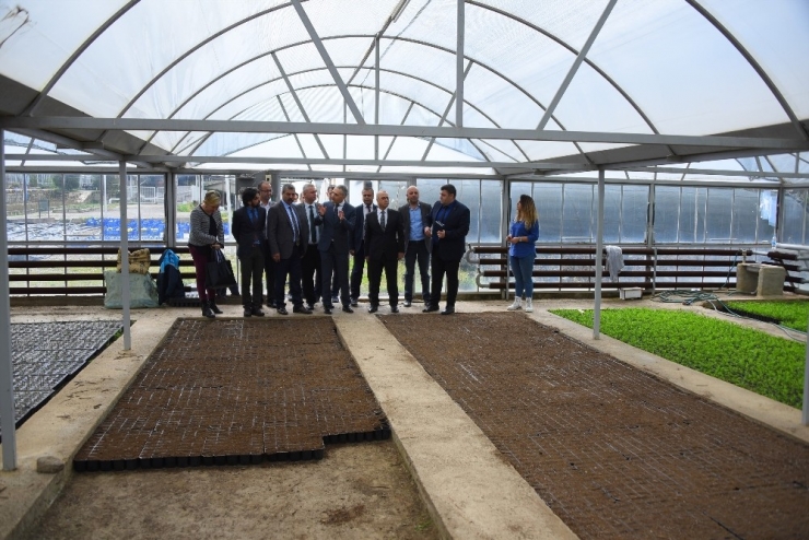 Salihli’ye Teknolojik Sera Kurulacak